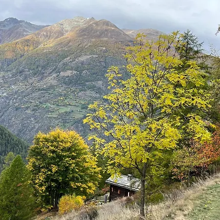 בית נופש Bildji