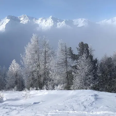 Bildji Prázdninový dům *