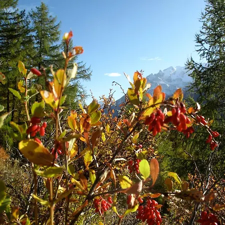 Bildji Prázdninový dům